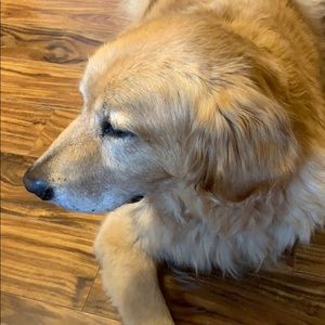 Meet your Posher, Jan